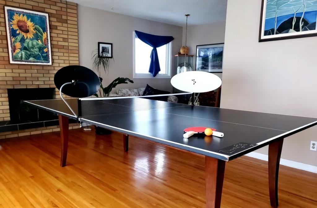 Ricoshot home setup
